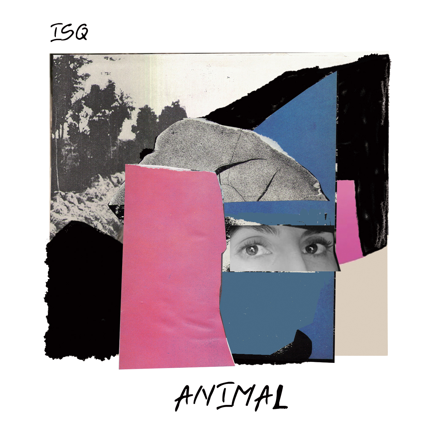 Animal is out today!